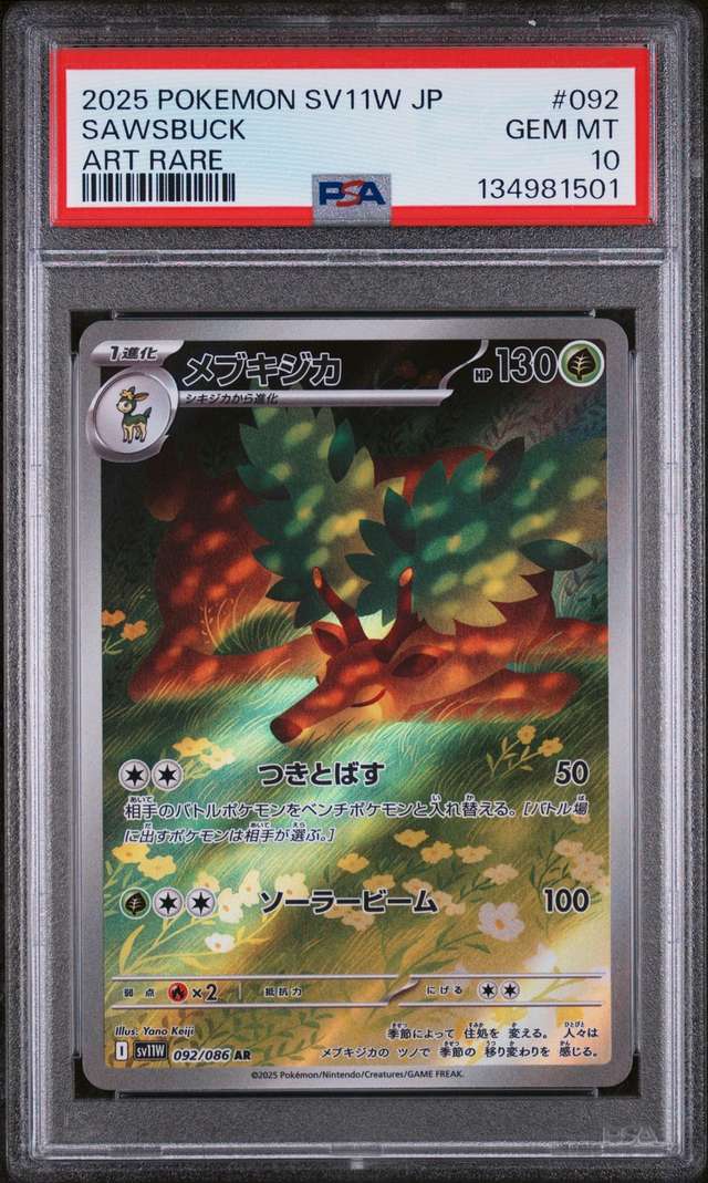 Sawsbuck
