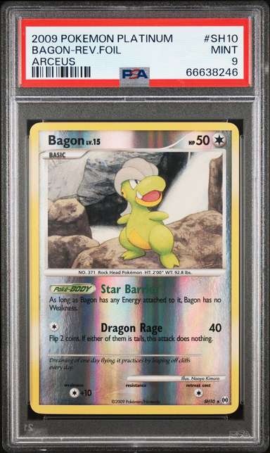 Bagon