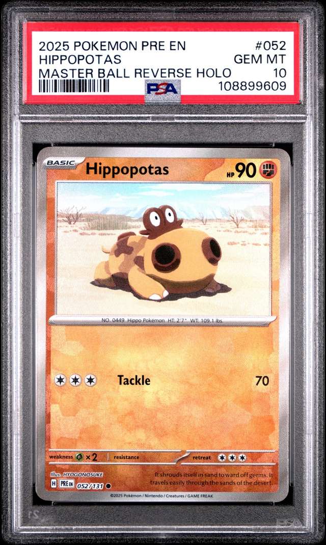 Hippopotas