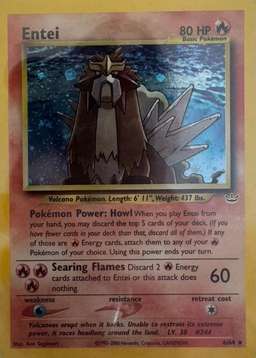 Holo