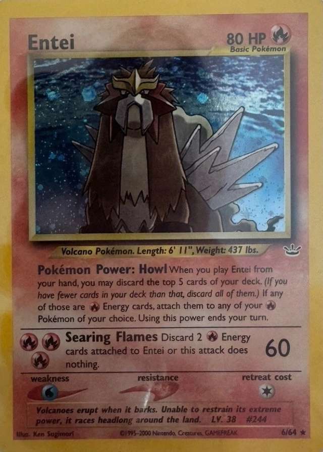 Holo
