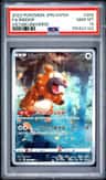 Bidoof
