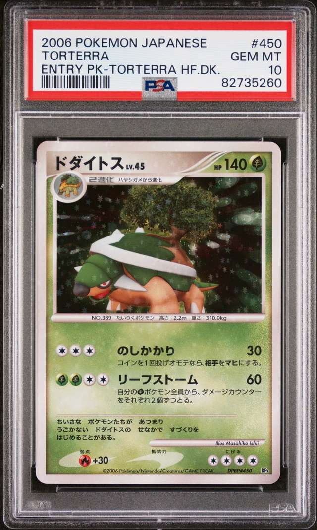 TORTERRA