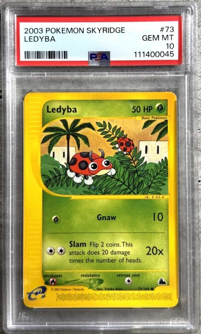 LEDYBA-REV.FOIL
