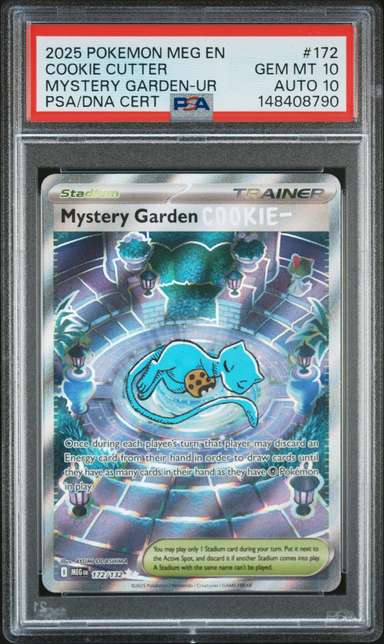 Mystery Garden