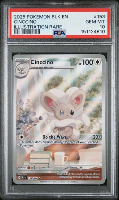 Cinccino