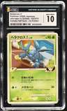 Heracross 4