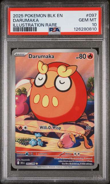 Darumaka