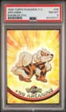 Arcanine