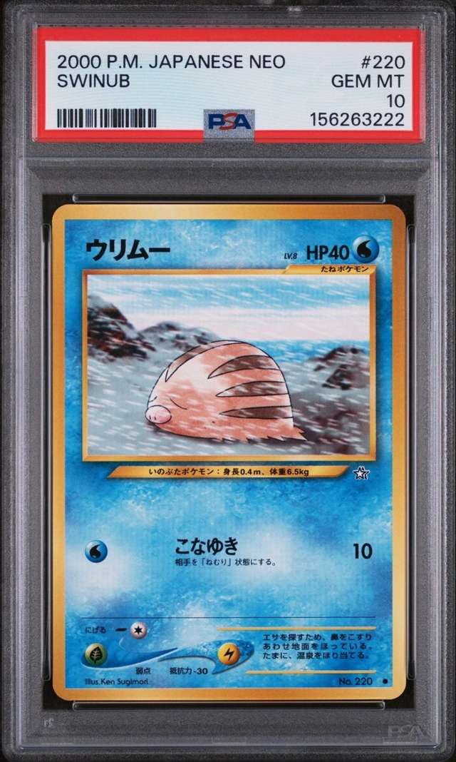 Swinub