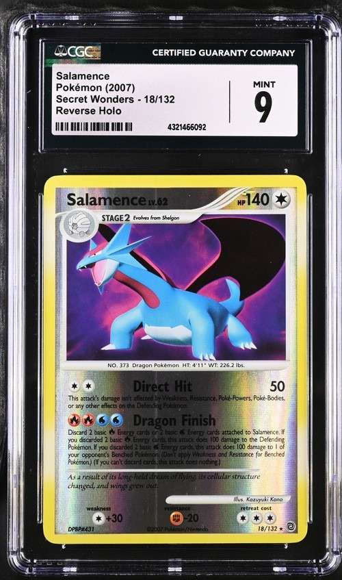 SALAMENCE