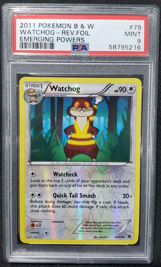 WATCHOG