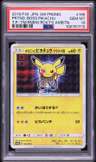 Pretend Boss Pikachu