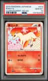 Ponyta