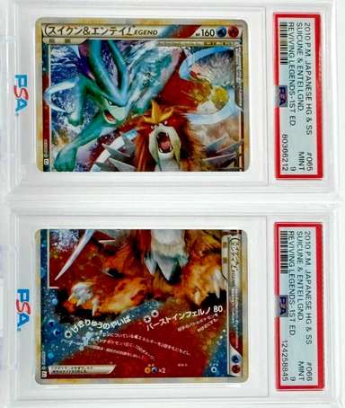 Suicune & Entei LEGEND
