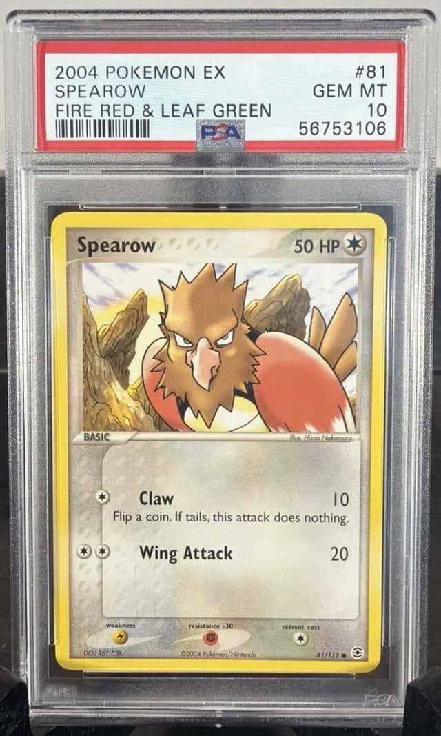 Spearow
