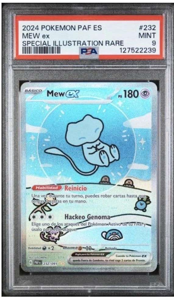 MEW ex