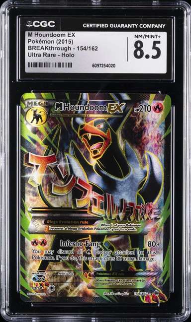 FA/M HOUNDOOM EX