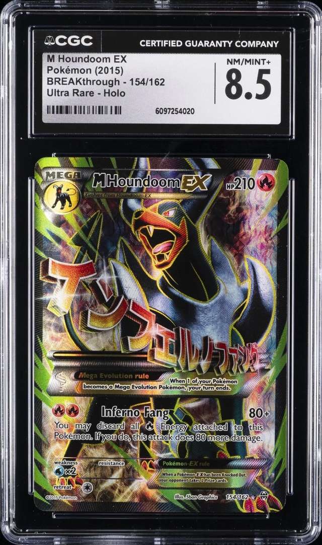 FA/M HOUNDOOM EX
