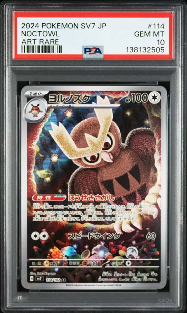 Noctowl