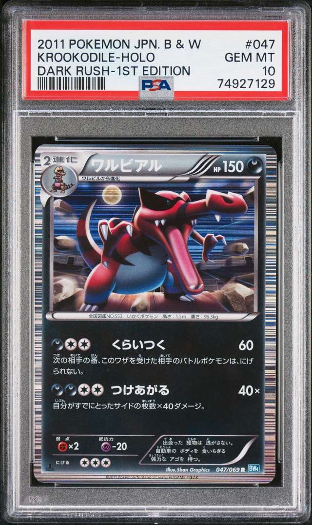 Krookodile