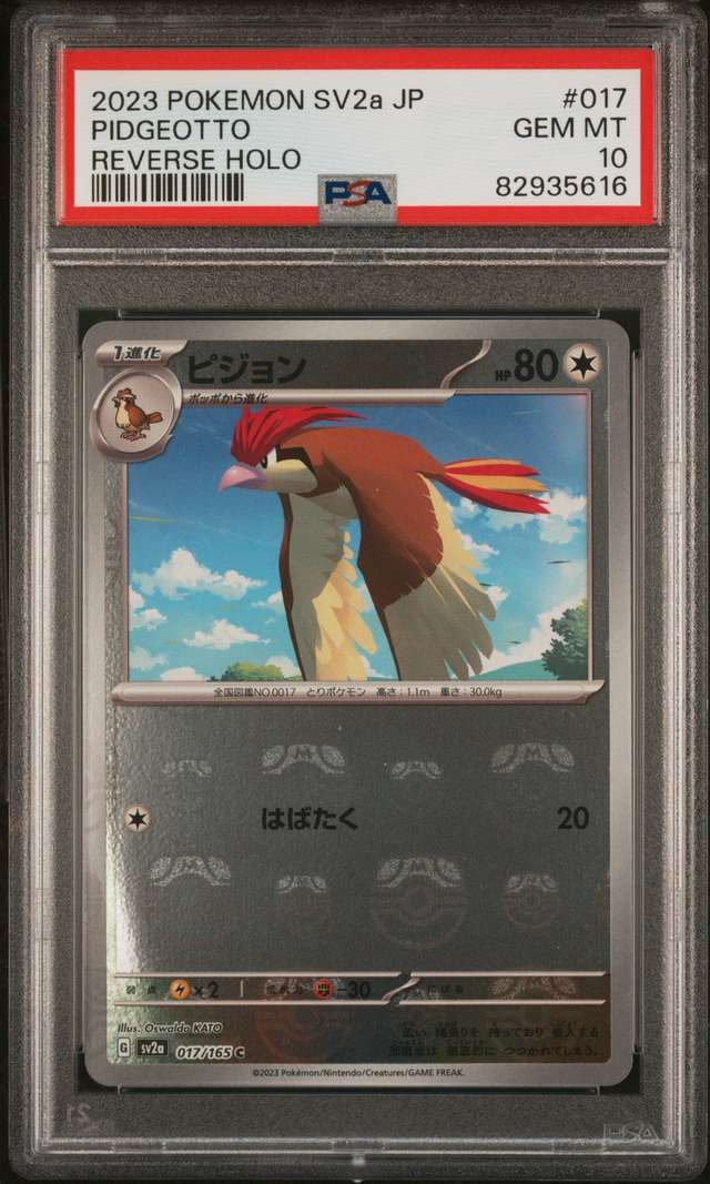 PIDGEOTTO