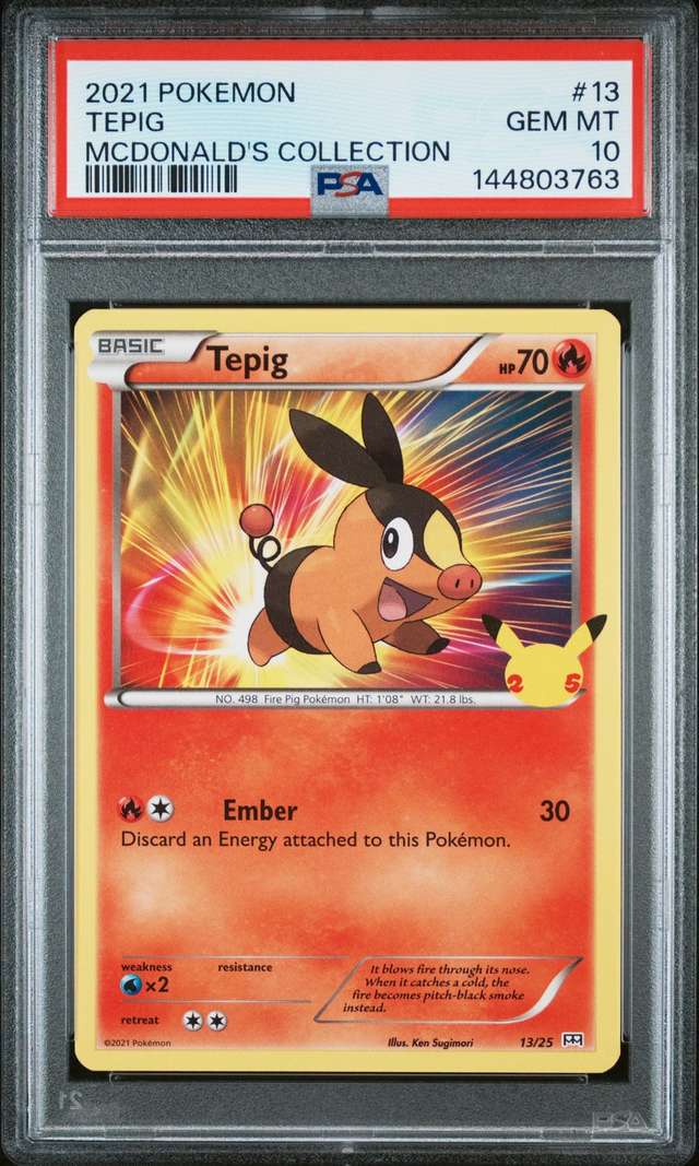 TEPIG