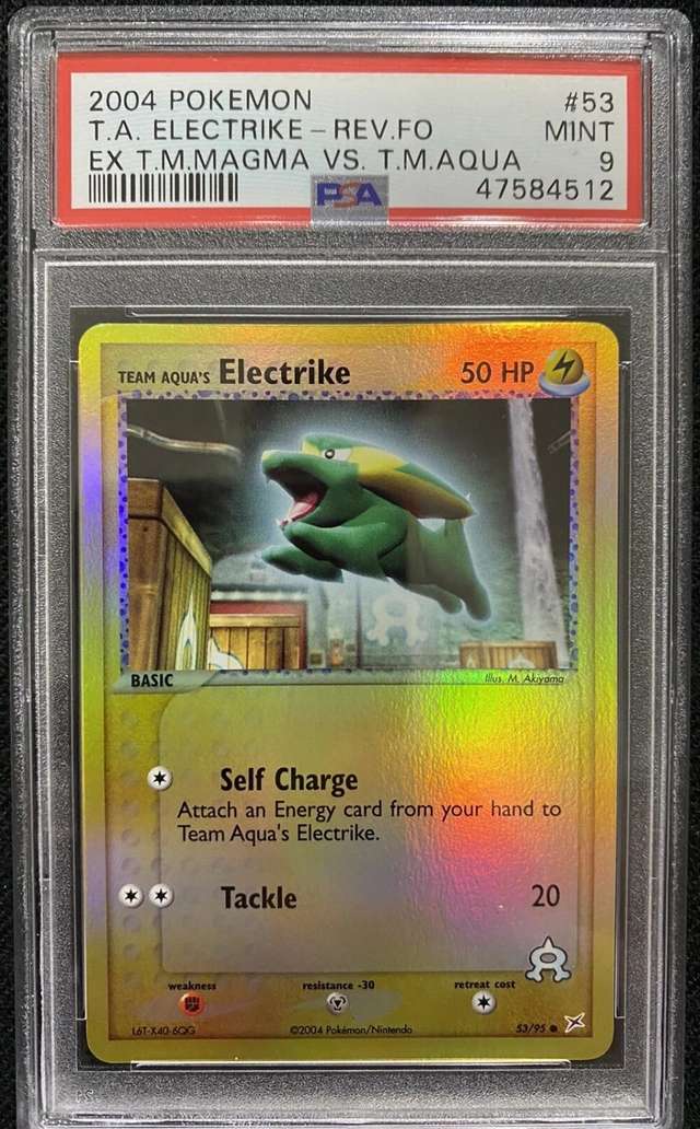 Team Aqua's Electrike