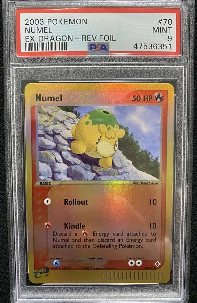 Numel Dragon