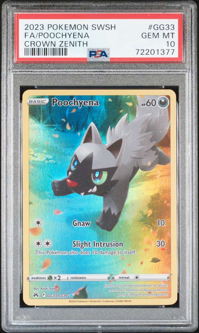 FA/POOCHYENA