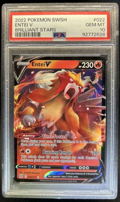 Entei V