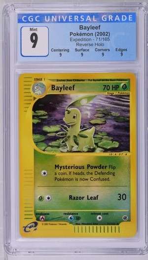 Bayleef