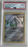 Celesteela
