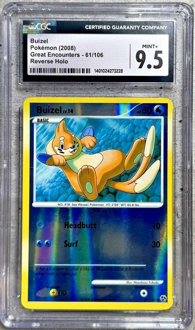 Buizel