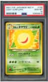 Light Sunflora