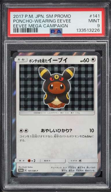 Poncho-Wearing Eevee