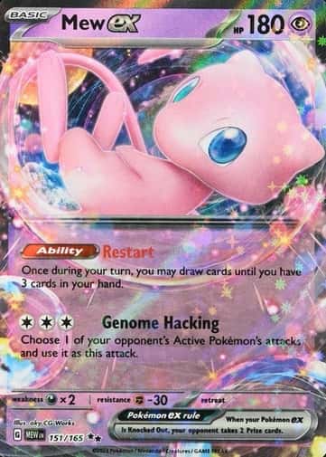 Holo