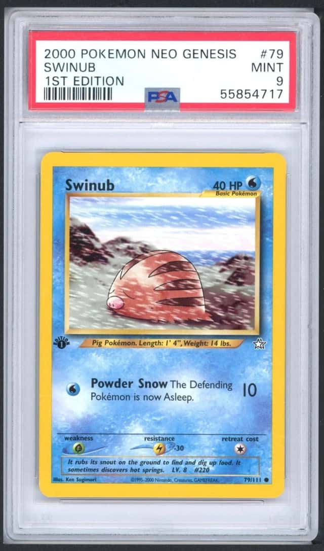 Swinub