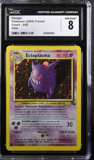 Ectoplasma