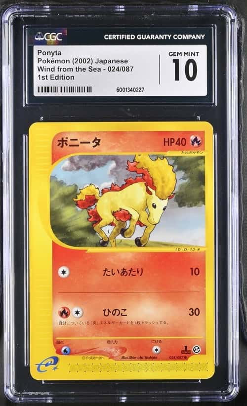 Ponyta