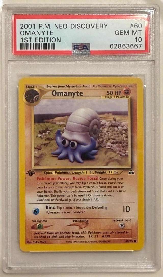 Omanyte