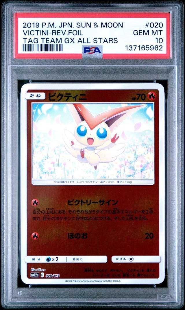 VICTINI