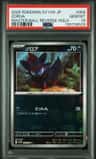 Zorua
