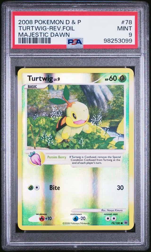 Turtwig