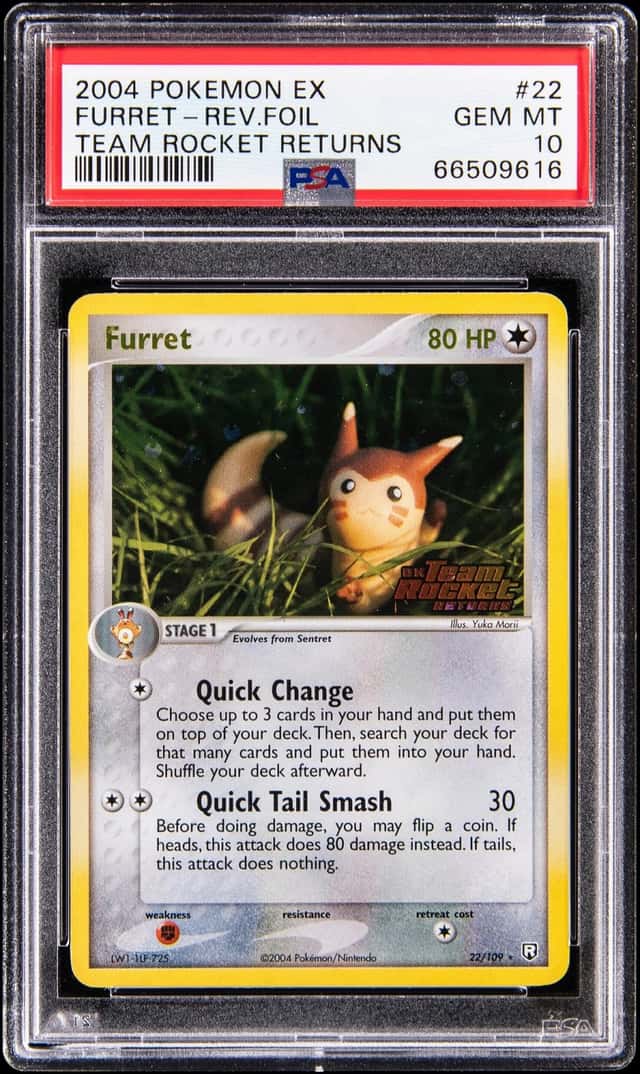 Furret