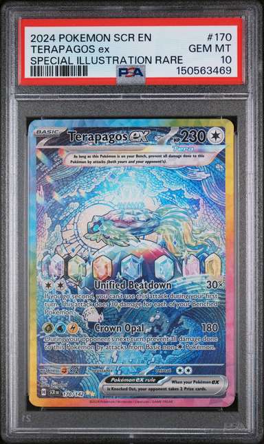 TERAPAGOS ex