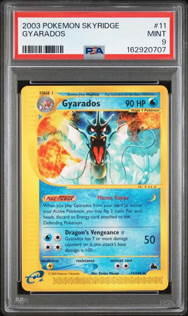 Gyarados R