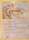 Furret