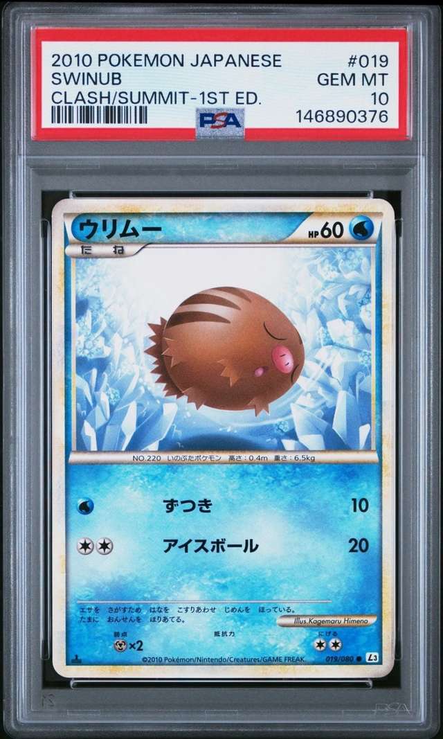 SWINUB