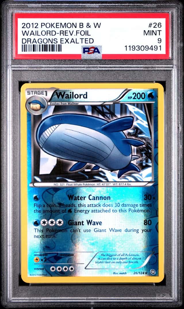 Wailord